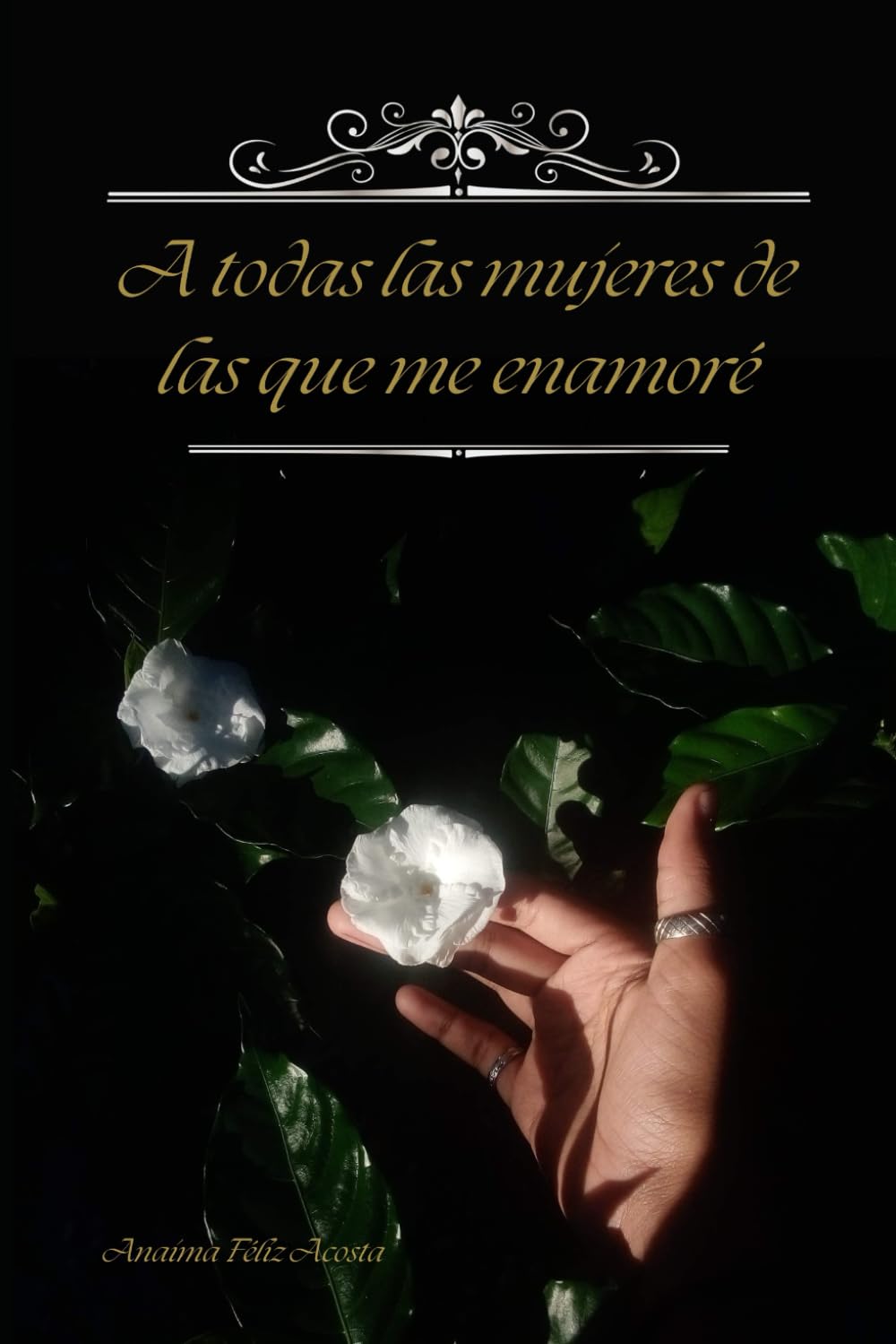 A todas las mujeres de las que me enamoré