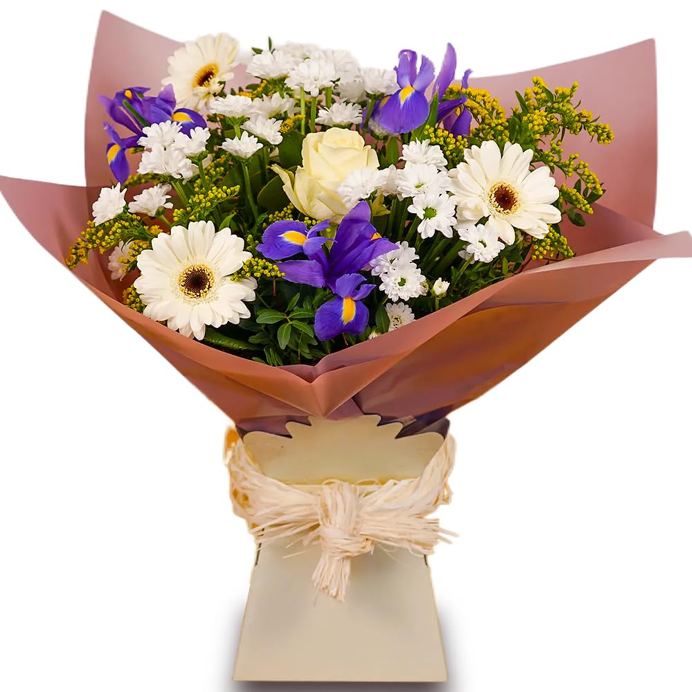 Vanilla Sky Flower Gift Bouquet - Fresh White Roses, Germini, and Purple Statice - Perfect for Birthdays, Anniversaries, and Thank You Gifts