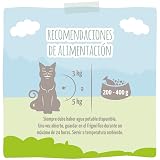 Ver la foto 3
