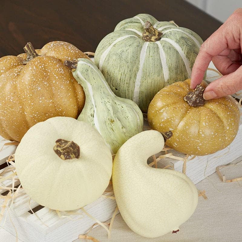 Factory Direct Craft Artificial Mixed Botanical Pumpkins and Gourds for Fall Decorating and Displays
