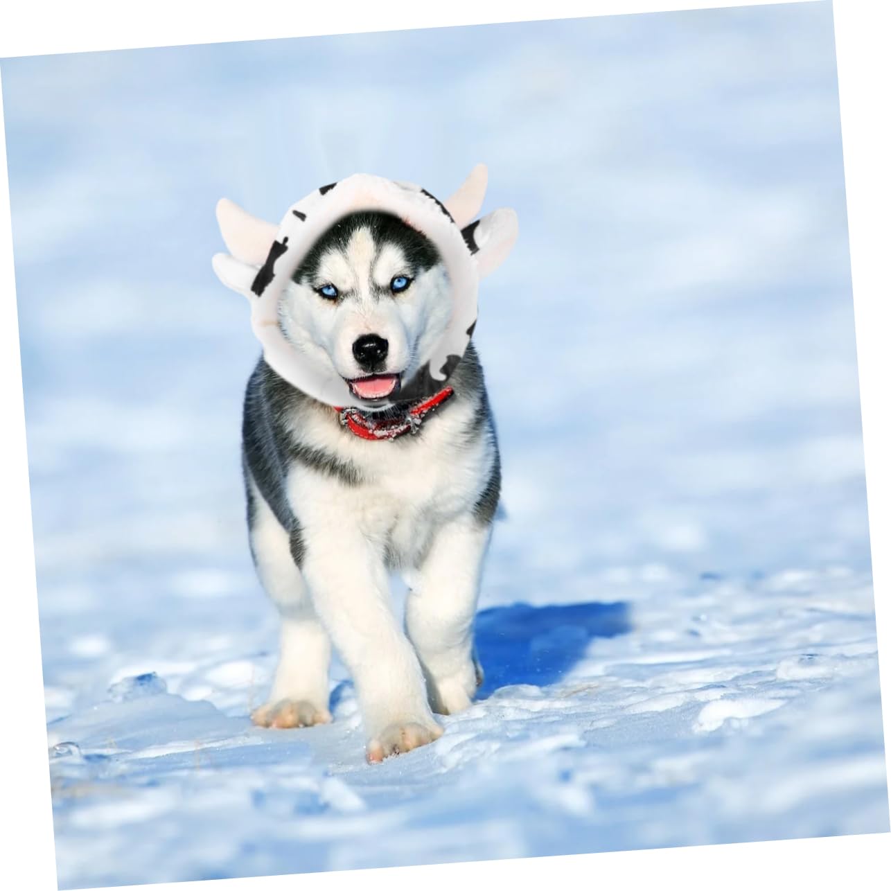 YARNOW Gorro De Peluche para Cosplay De Mascota Adorable Disfraz De Perro Forma De Vaca Suministros para Mascotas Adecuado para Fiestas De Disfraces