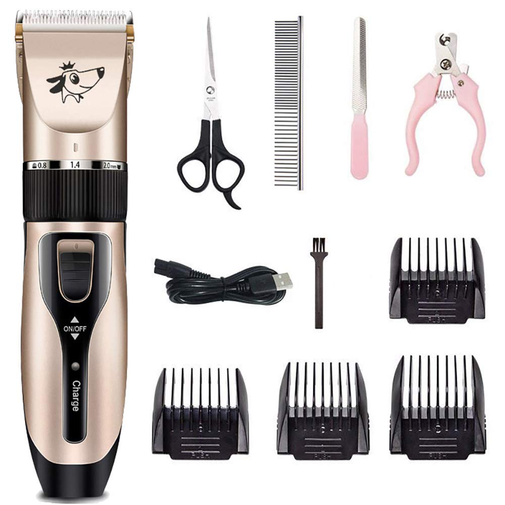 Tondeuse professionnelle pour animaux de compagnie kit de rasage