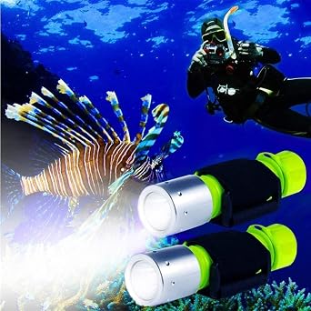 BlueFire Professional 1100 Lumens Diving Flashlight Bright Submarine Light Scuba Safety Light Waterproof Underwater Torch for Outdoor Underwater Sports Green2 Pack