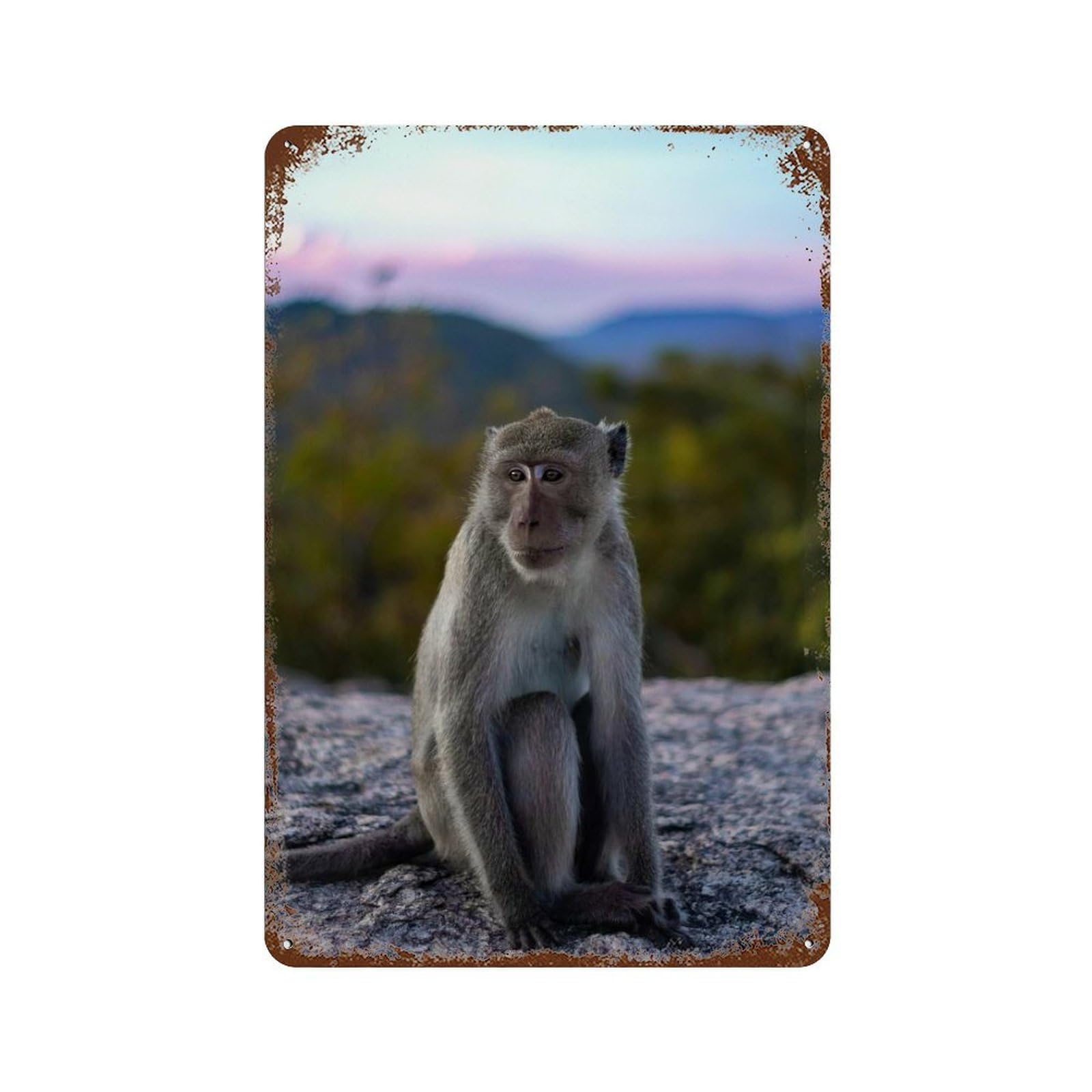 Rustic Tin Plaque Monkey on A Mountaintop 11.8"x7.9", Vintage Wall Decor for Pub, Kitchen And Man Cave Decor