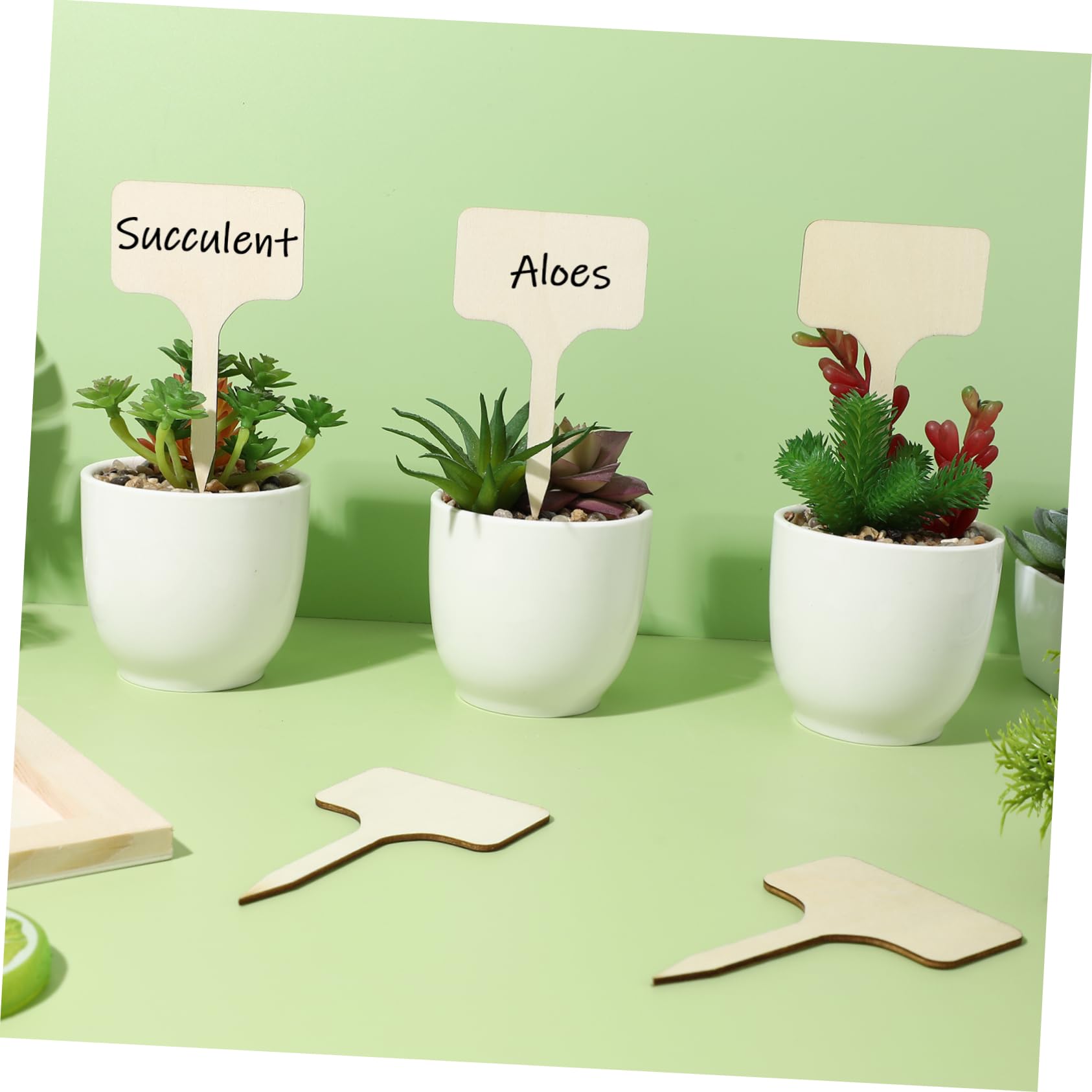 POPETPOP 250pièces Étiquettes De Plantes Marqueurs De Jardin Pour Semences Et Fleurs Lot De Étiquettes Réutilisables Pour Identifier Vos Plantes Et Votre Espace
