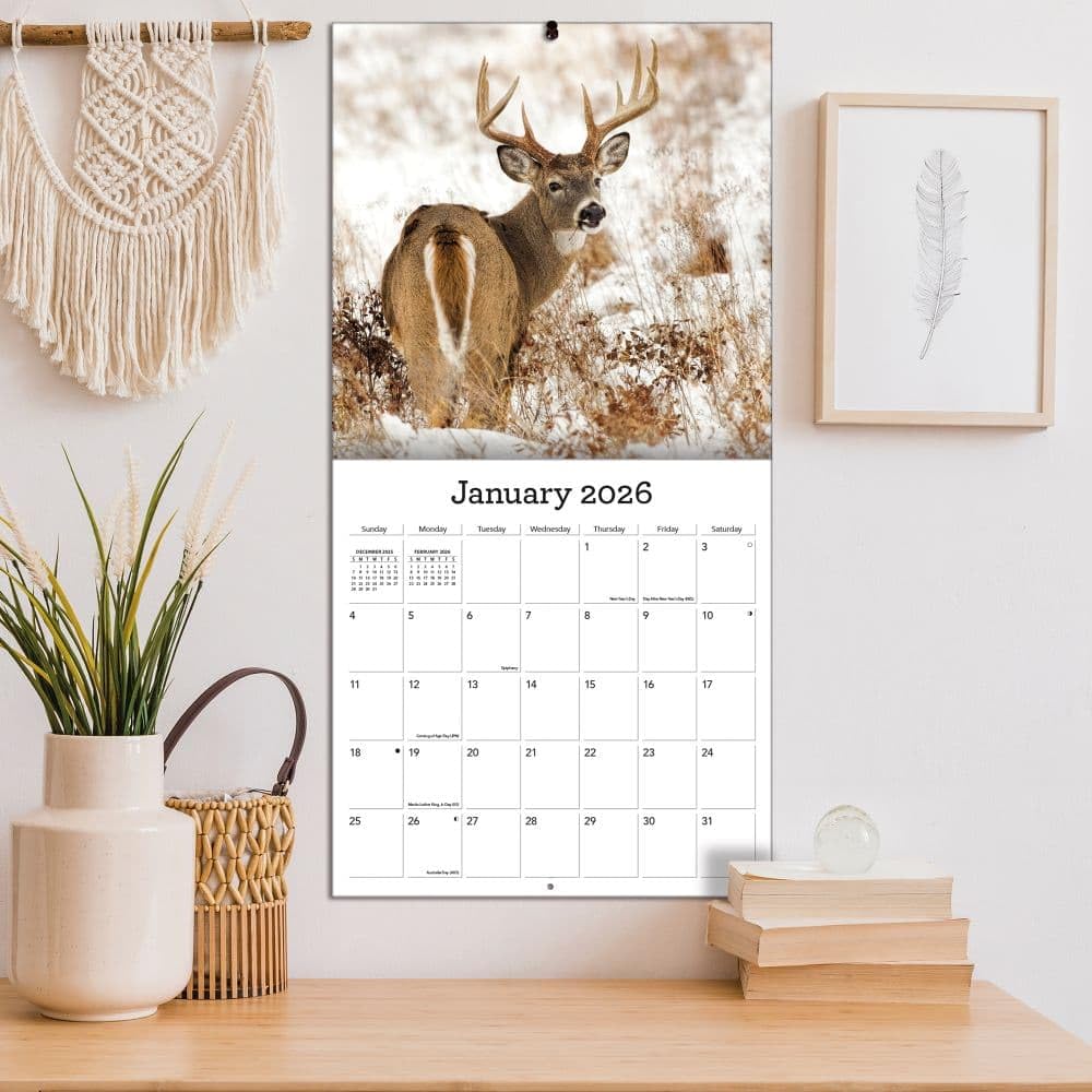 TURNER PHOTOGRAPHIC Calendario de pared con fotos de ciervo de cola blanca de 12 x 12 pulgadas (26998940059)