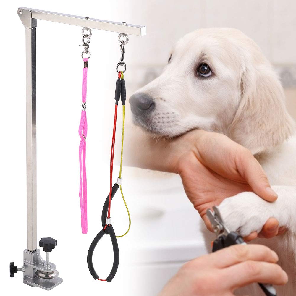 Braccio per toelettatura cani pieghevole resistente per cani, in acciaio inox, con morsetto e cappio
