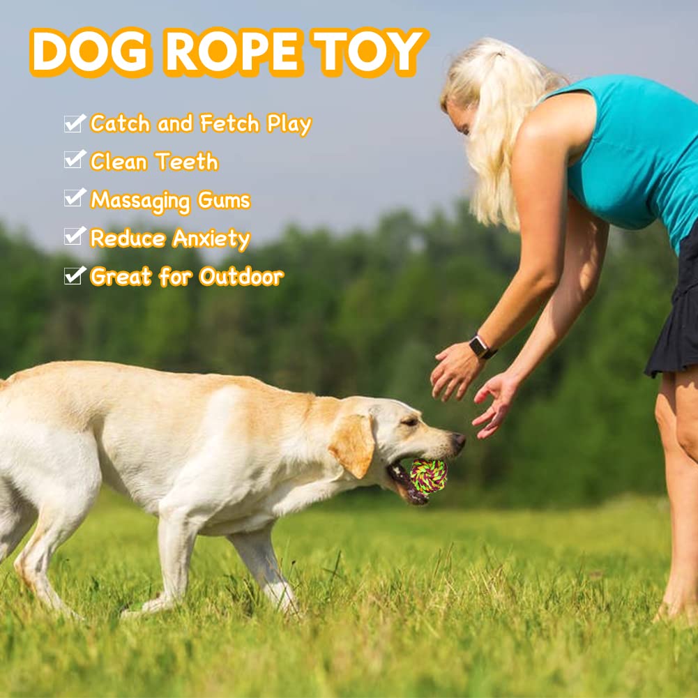 PetiFine Seilspielzeug Für Hunde – 4-teilig, Robust & Zahnreinigend