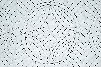 Vista 4 de YUVANCRAFTS Colcha tradicional india Kantha pesada de algodón puro, colcha blanca tamaño Queen