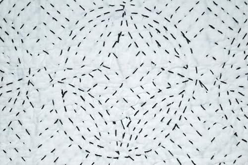 Miniatura 5 de Yuvancrafts Colcha tradicional india Kantha pesada de algodón puro, colcha blanca tamaño Queen