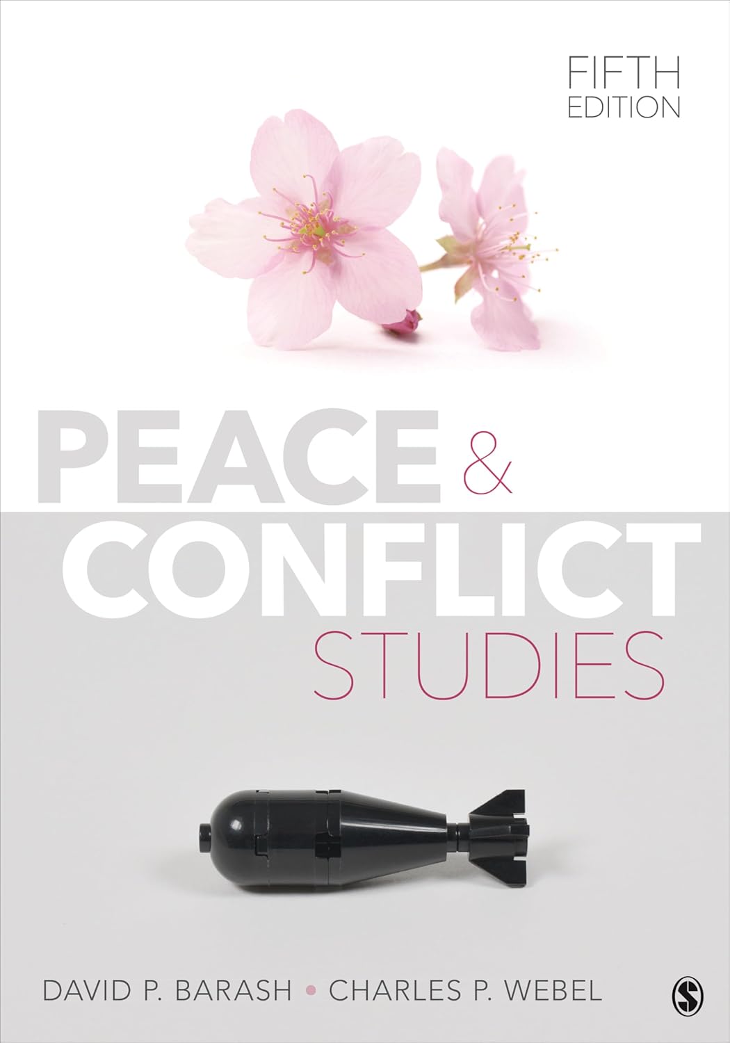 Peace and Conflict Studies by David P. Barash: Comprehensive Intro to Global Conflicts, Terrorism, Positive Peace & 21st-Century Events