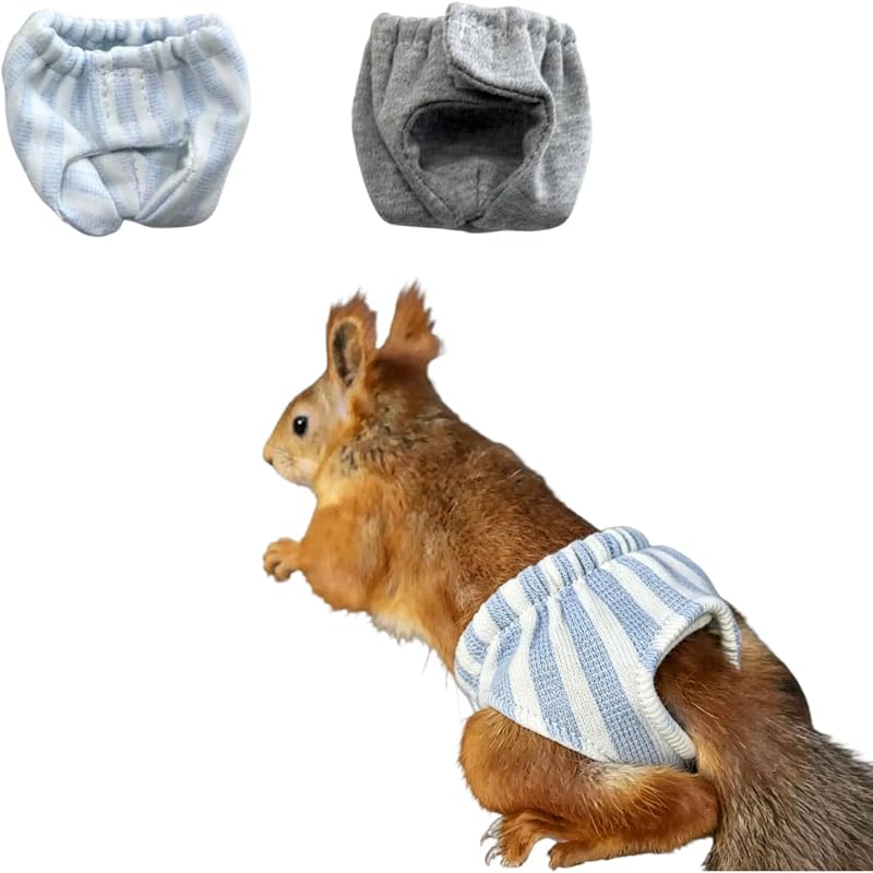 2 Pcs Squirrel Diapers- Reusable Washable Squirrel Diapers Absorbent with Strong & Flexible Pants for Squirrel,Fancy Rat,Groundhog Guinea Pig Small Sugar Glider (M)