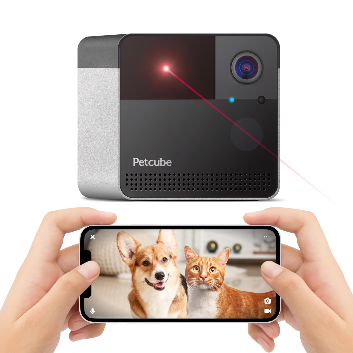 Caméra Wi-Fi Petcube Play 2 pour animaux avec jouet laser, vidéo HD 1080P, vue 160°, audio bidirectionnel, alertes IA, vision nocturne, surveillance