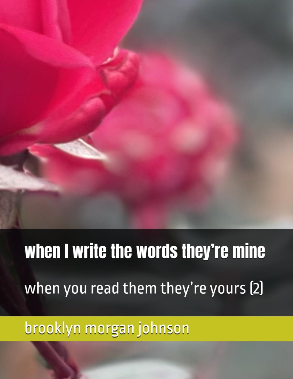 when I write the words they’re mine: when you read them they’re yours (2)