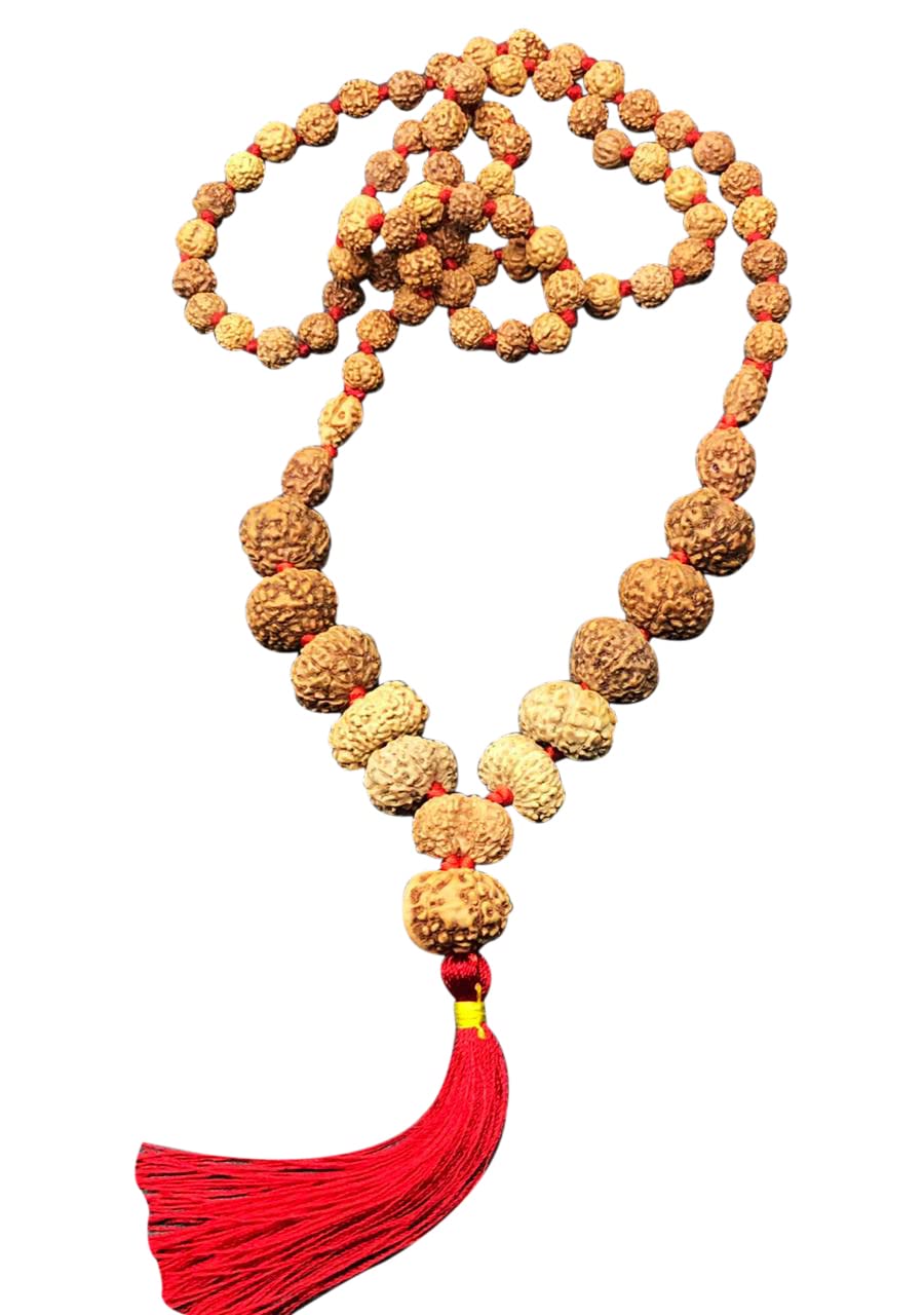 Mala Rudraksha de taille moyenne pour méditer au quotidien avec 1 à 14 Mukhi
