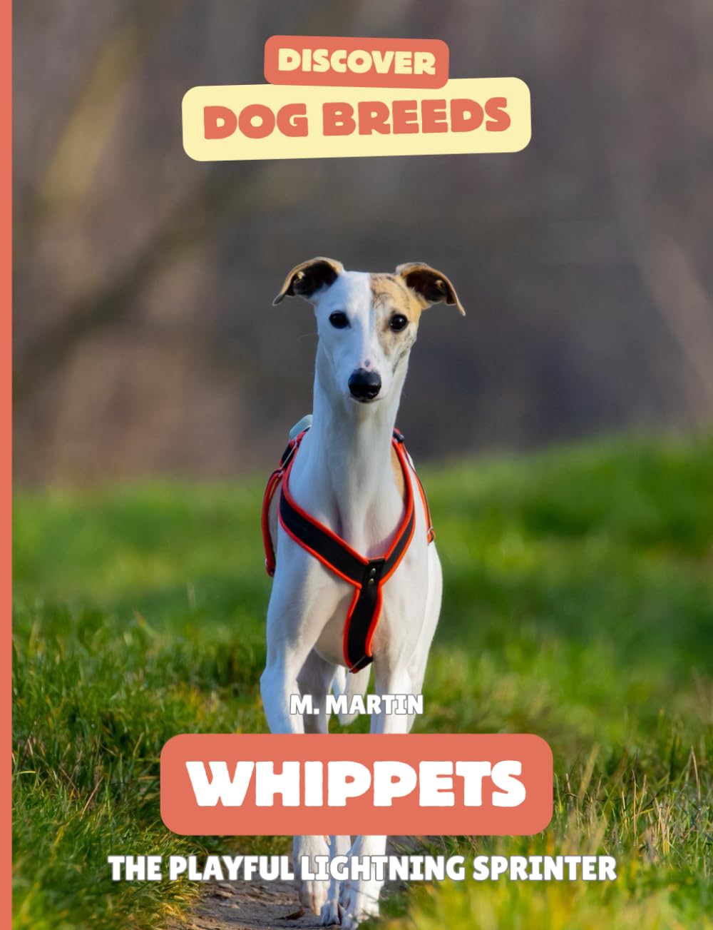 Whippets: The Playful Lightning Sprinter (Discover Dog Breeds)