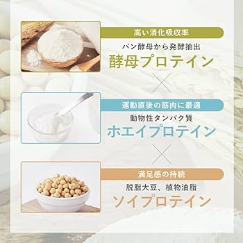 エメプロテイン リッチチョコレート風味 酵母 ホエイ ソイ プロテイン 美容 置き換え ダイエット 375g Aime