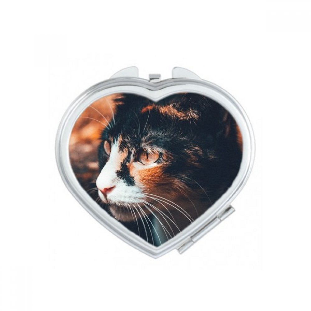 Miroir de maquillage compact animal mignon petit cadeau portable