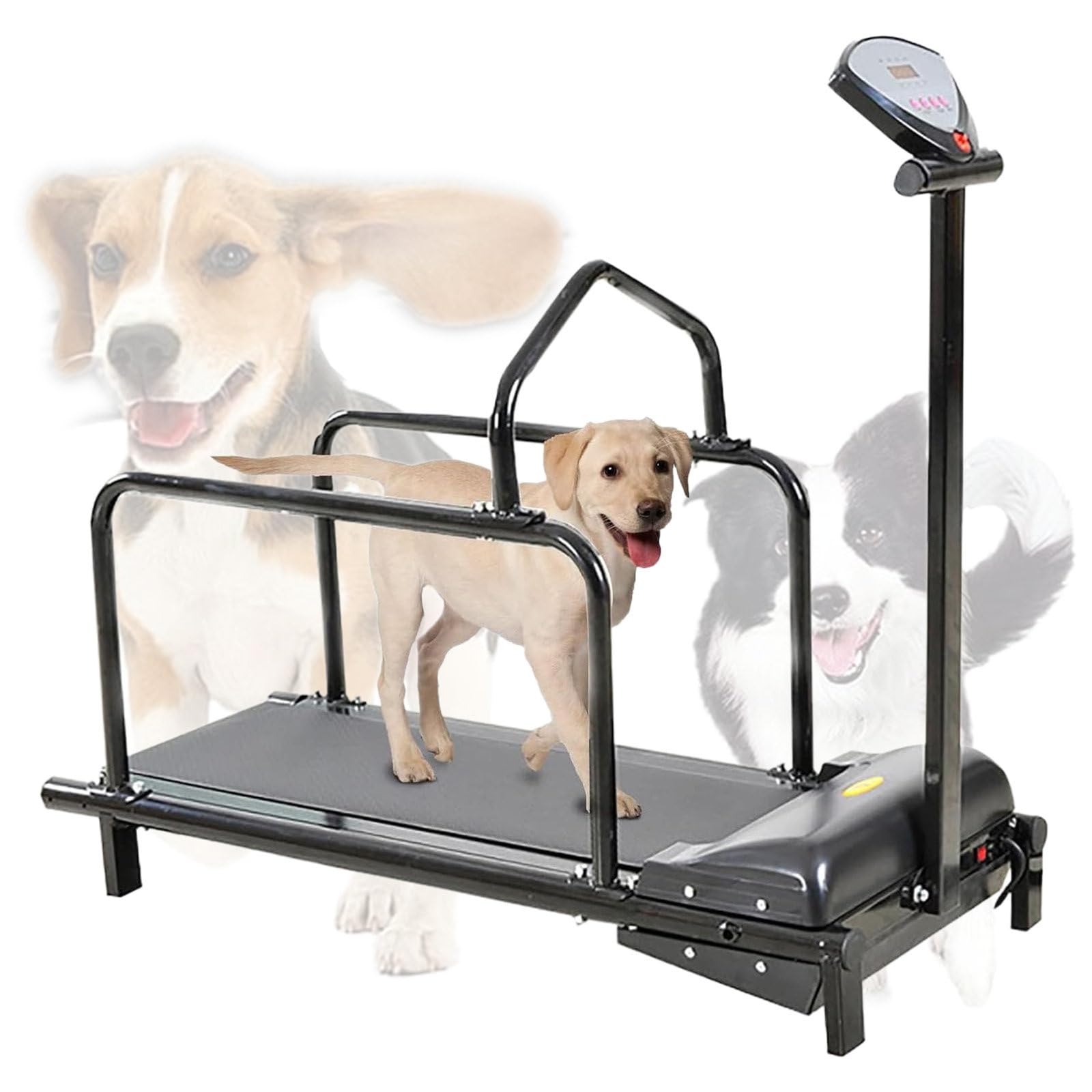 Hundelaufband für Kleiner Hunde, 80 cm Lange Laufbahn, Lauftrainingsgerät für Hunde im Innen- und Außenbereich, Anzeige von Distanz, Zeit, Geschwindigkeit und Kalorien