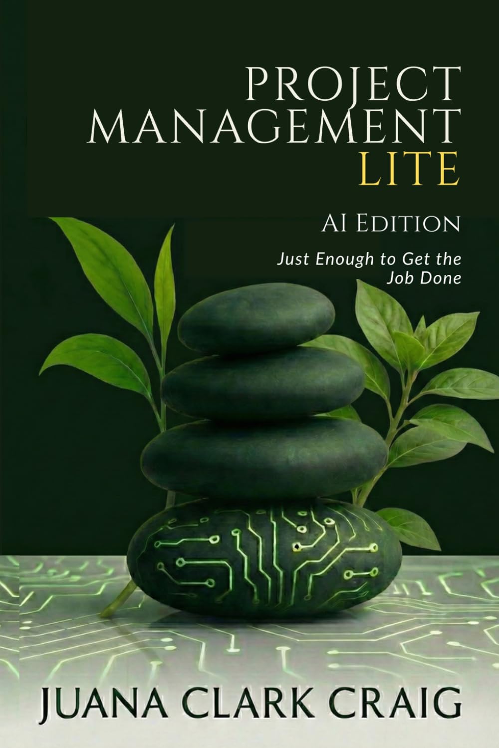 Project Management Lite: AI Edition