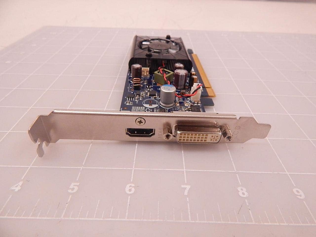 NVIDIA E220370 Video Card output ports: HDMI and DVI