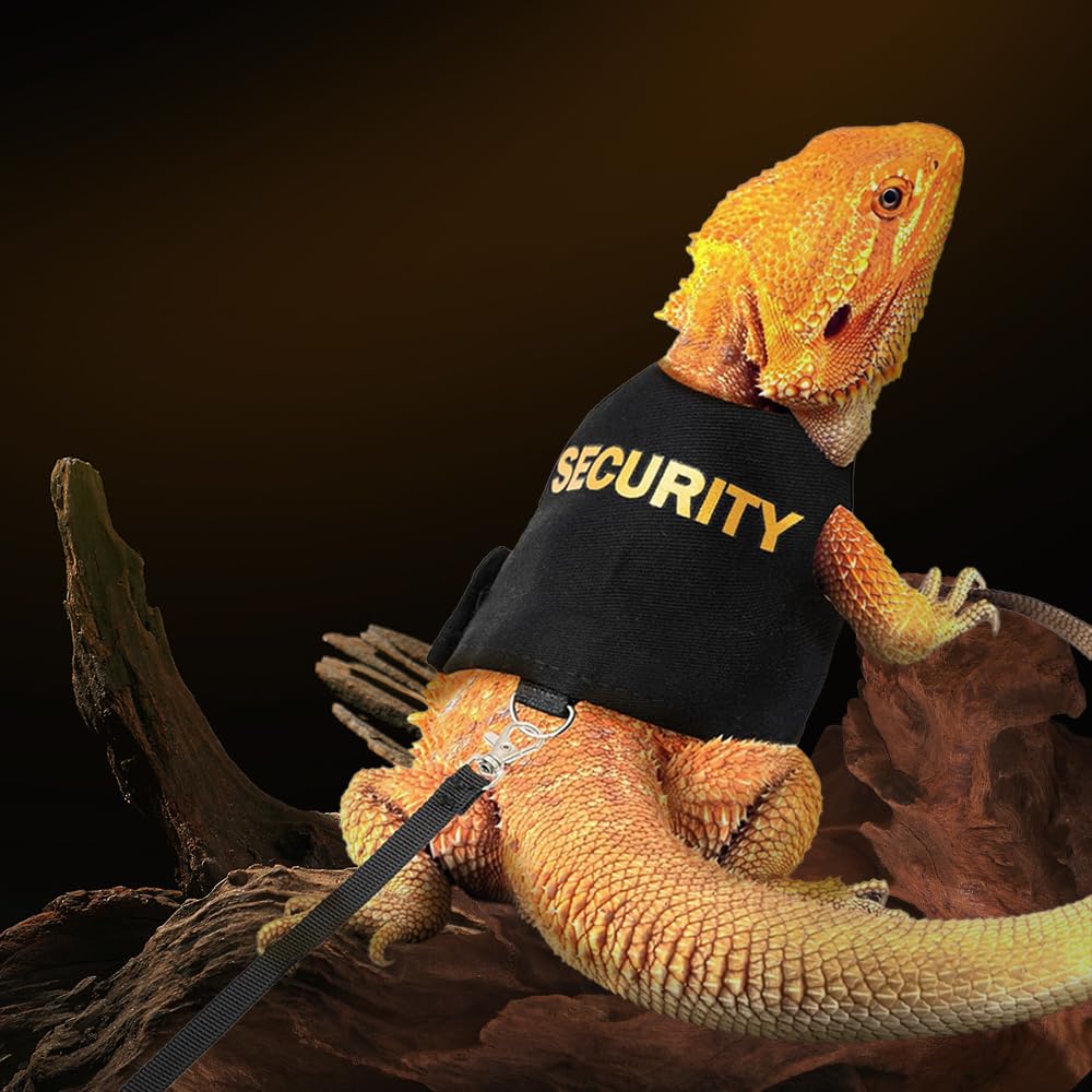 Harnais pour dragons barbus réglable pour reptiles lézards caméléons