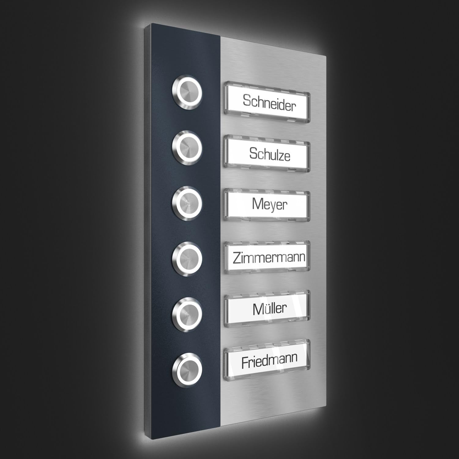 Campanello plurifamiliari con LED pressione Targhetta 6 nomi - V2A acciaio inox 140x255 mm - da incasso selezionabile da esterno per porta d'ingresso