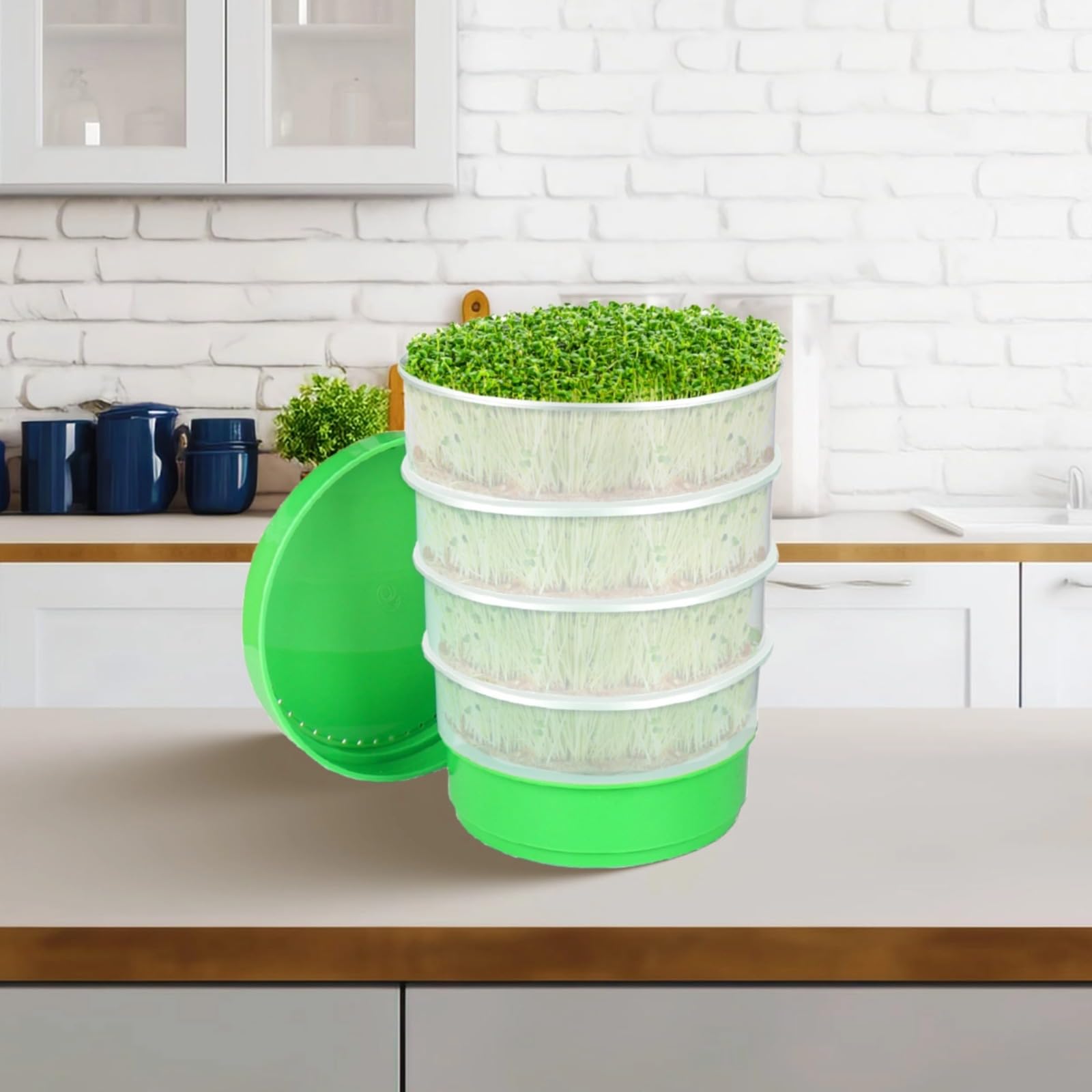 Générique Kit de Germination Rond empilable, Plateau de Culture de Luzerne avec écran de Protection, Design Plastique à 6 Niveaux, Sac de Rangement Noir Inclus, pour Le Jardinage à la Maison