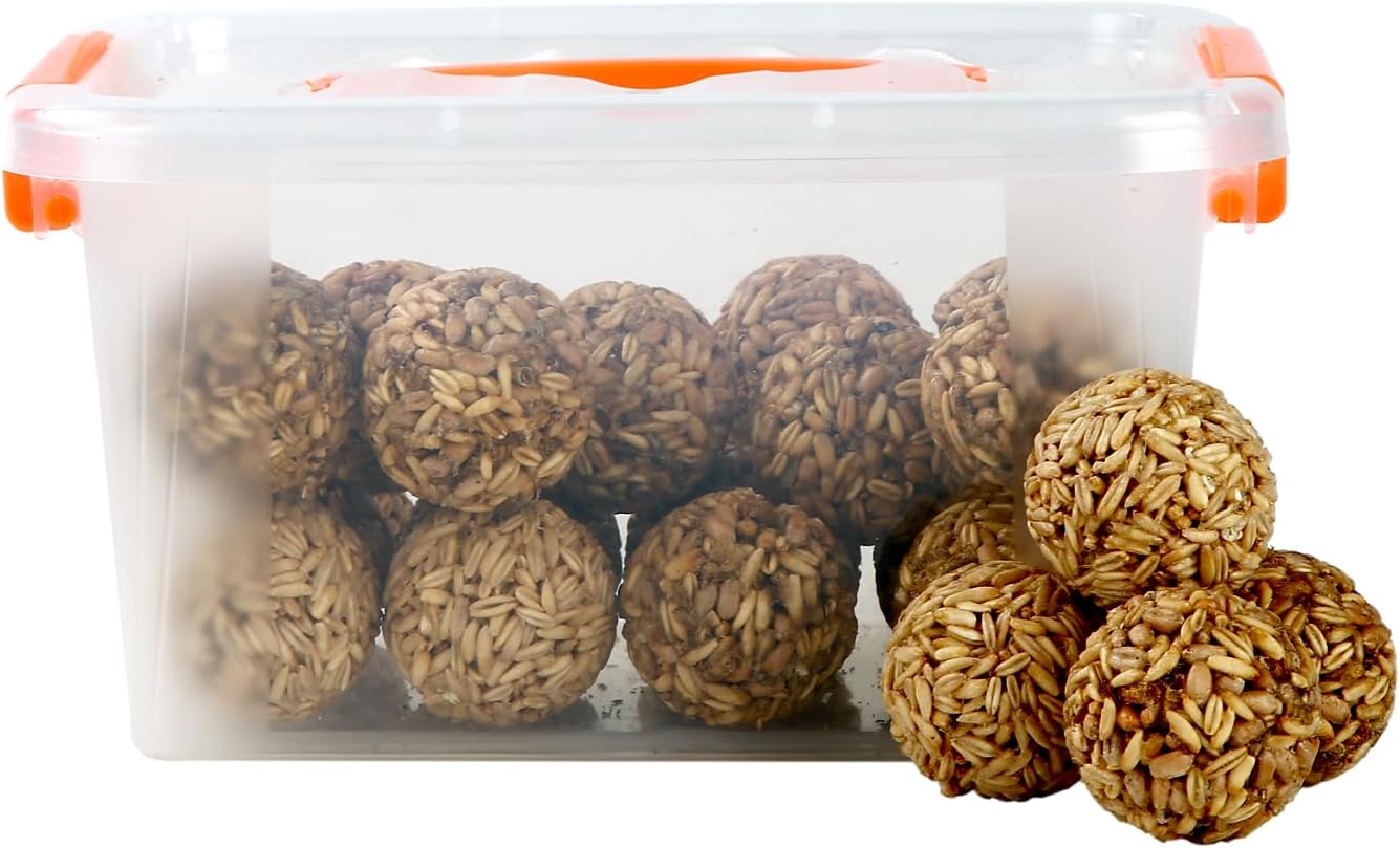 PETSEEN 24pcs Bird Seed Balls for Wild Bird Seed for