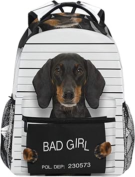 dog backpack with window