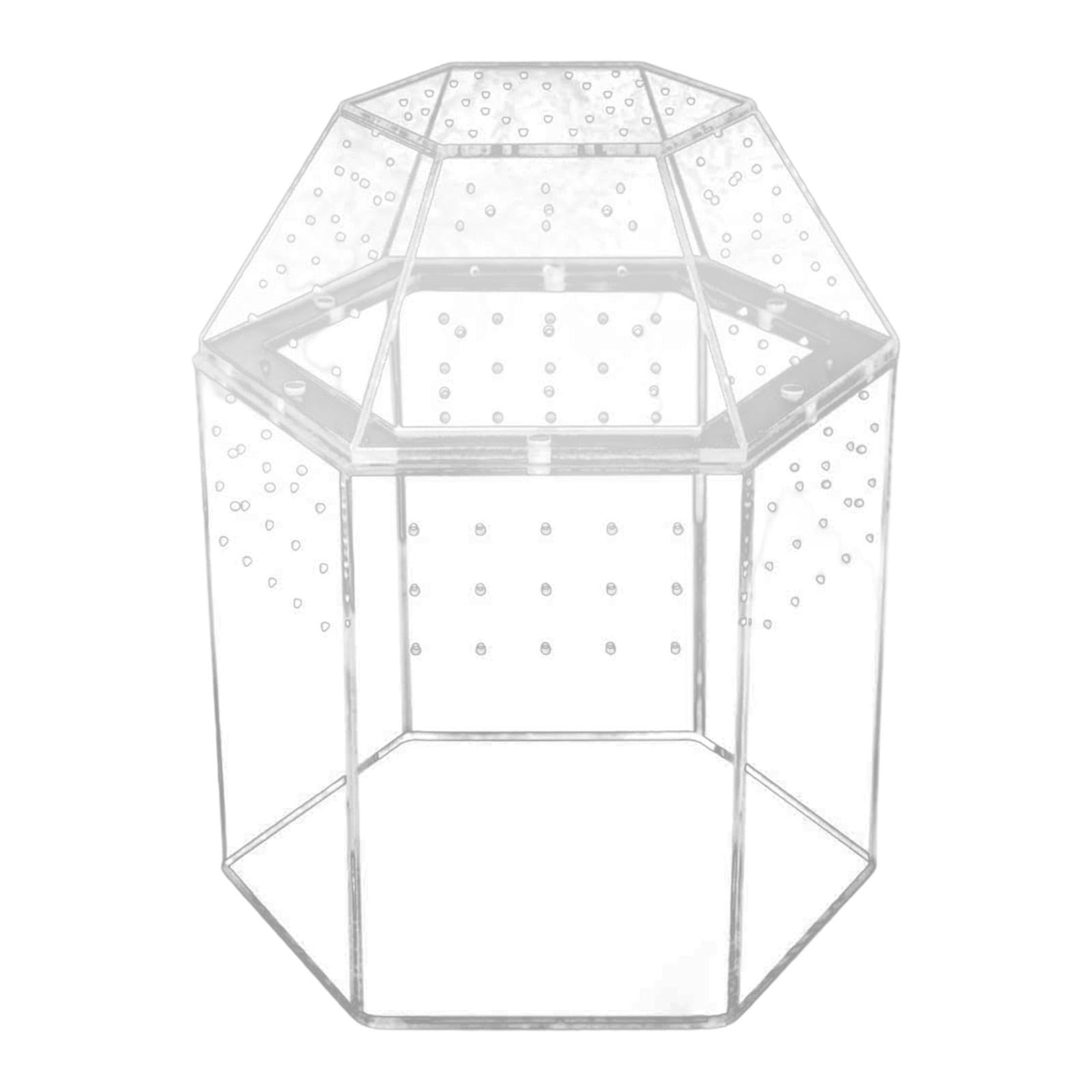 Qianly Terrario para Reptiles con Ventilación para Jaulas de Arañas Saltarinas Y Religiosas.