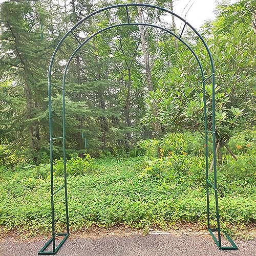 Arche de jardin en métal blanc support plantes grimpantes rosiers