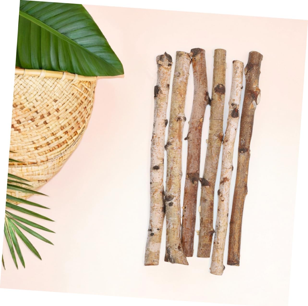 Gadpiparty 6pcs Natural Birch Wood Sticks for Crafting Floral Arrangements Rustic Home Decor Unfinished Twigs for Decorative Projects Smooth Texture for Easy Shaping