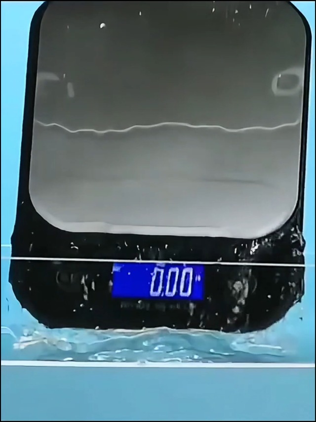 NY15825-Balance de cuisine 5KG étanche haute précision en acier