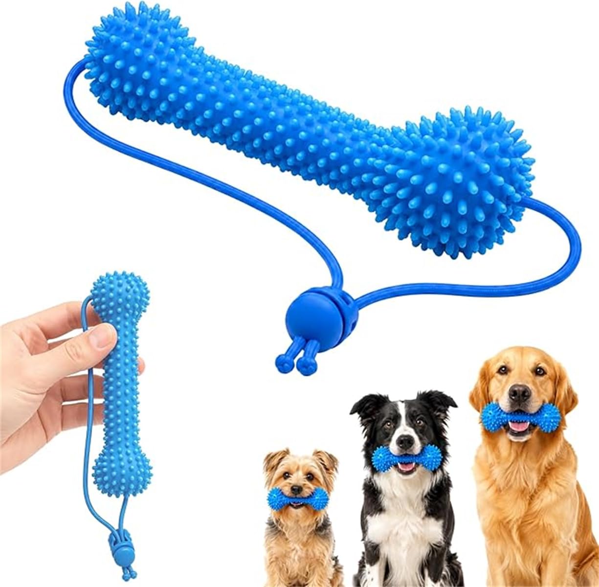 Giurui Dual-Action Canine Dental Prop, Dog Mouth Opener for Teeth Brushing, Bite-Resistant Dental Chew Toy, Reusable Teeth Cleaning Tool, Pet Oral Care Tool for Small Medium Large Dogs (1 Pcs)