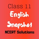 Easy to use Class 11 English Snapshot NCERT Solutions