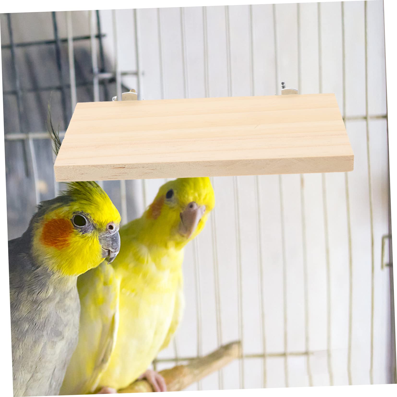Beavorty 2pcs Pet Rest Station Parrot Wooden Perch Rectangle Wood Perch Parrot Stand Platform Bird Cage Accessories Toys for Hamsters Bird Toys for Cockatiels Bird Stand for Birds Xuan Feng