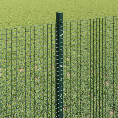 Clôture extérieure durable résistant aux intempéries acier 50m