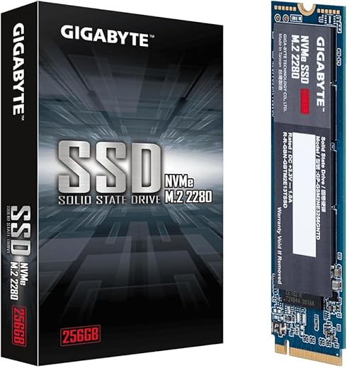 GIGABYTE NVME 256GB M.2 2280 PCIe Gen3 Internal Solid State Drive (GP-GSM2NE3256GNTD)