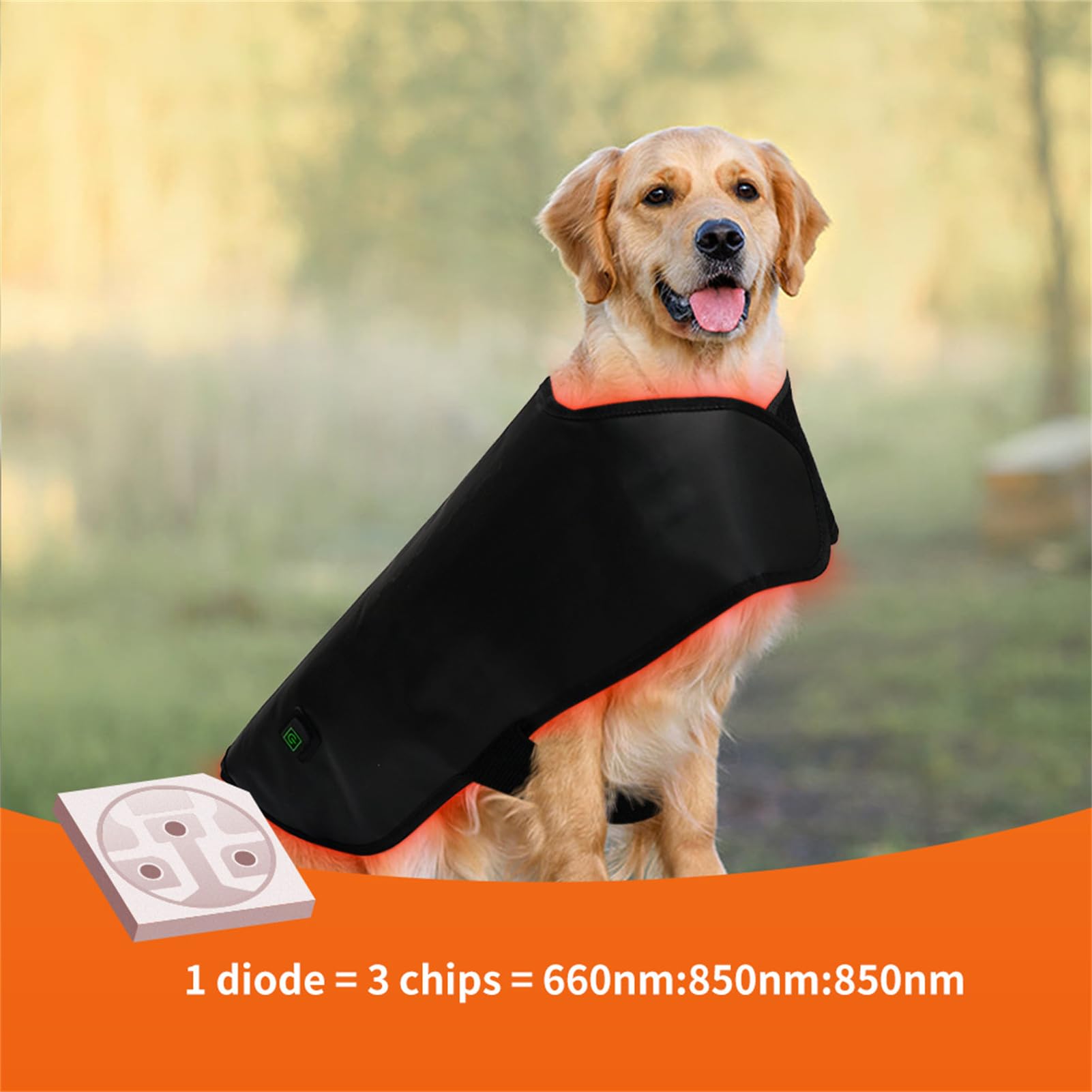 犬専用 近赤外線 赤色LED治療器 犬専用 近赤外線 赤色LED治療器