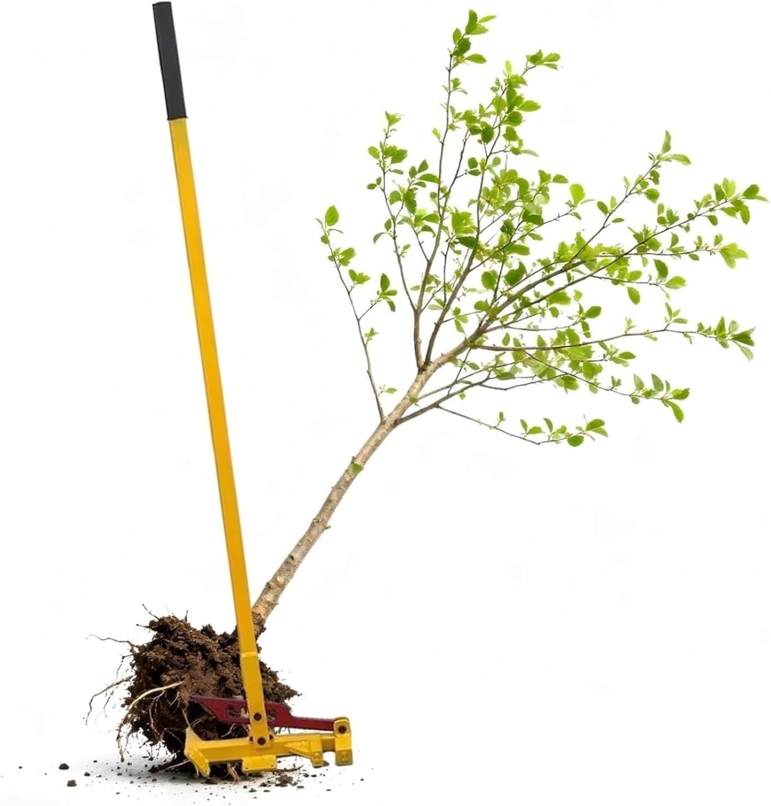 Extraction de racine et tronçon : outil à levier de jardinage efficace
