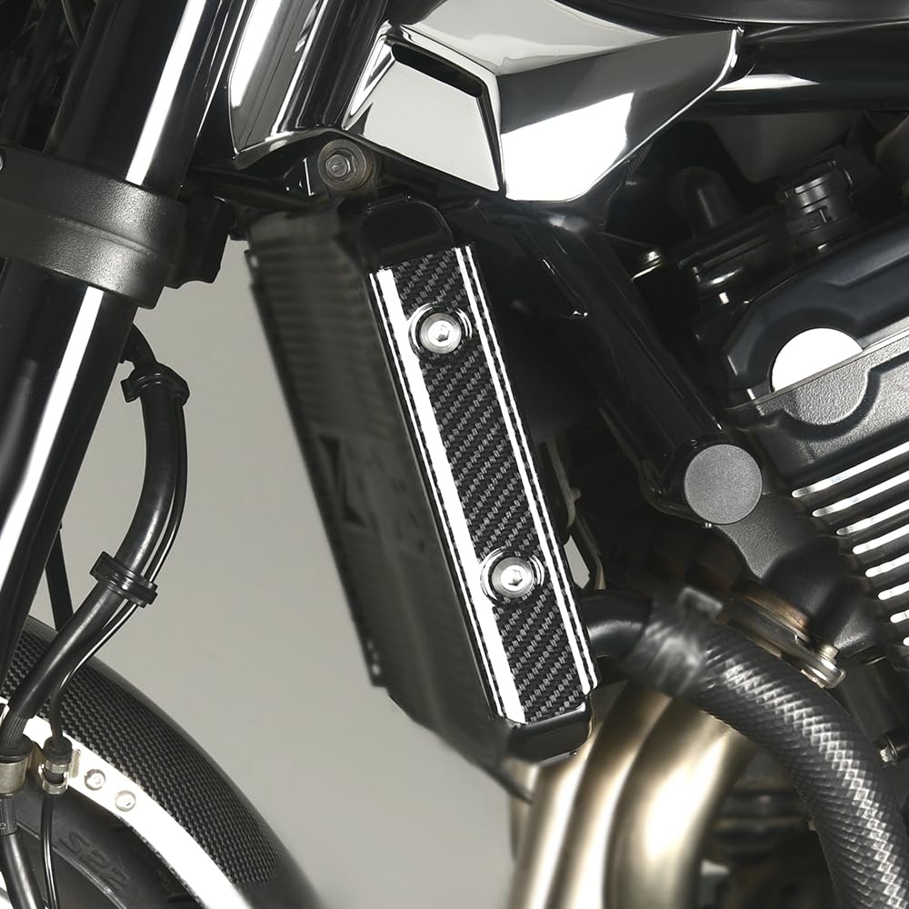 Amazon | Z900RS 2018-2020 ラジエターサイドカバー 左右セット z900rs