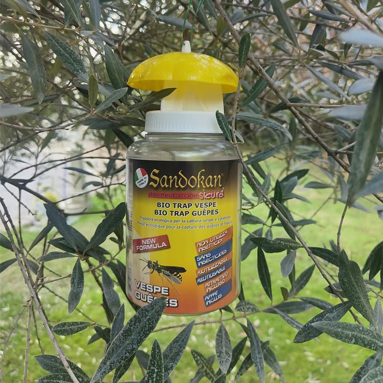 Sandokan Piège à Guêpes Et Frelons - Écologique, Facile à Utiliser Et Efficace Avec Attractif Inclus