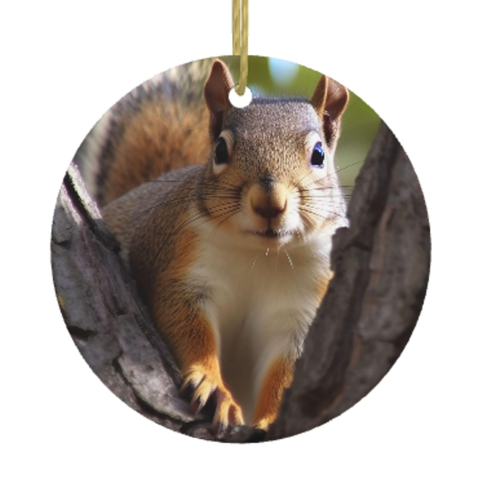 Ceramic Christmas Tree Hanging Ornaments with Gold Ropes Christmas Tree Decorations Round Ceramic Squirrel in The Tree Pendant Keepsake Decorations for Holiday Xmas Gift Ideas