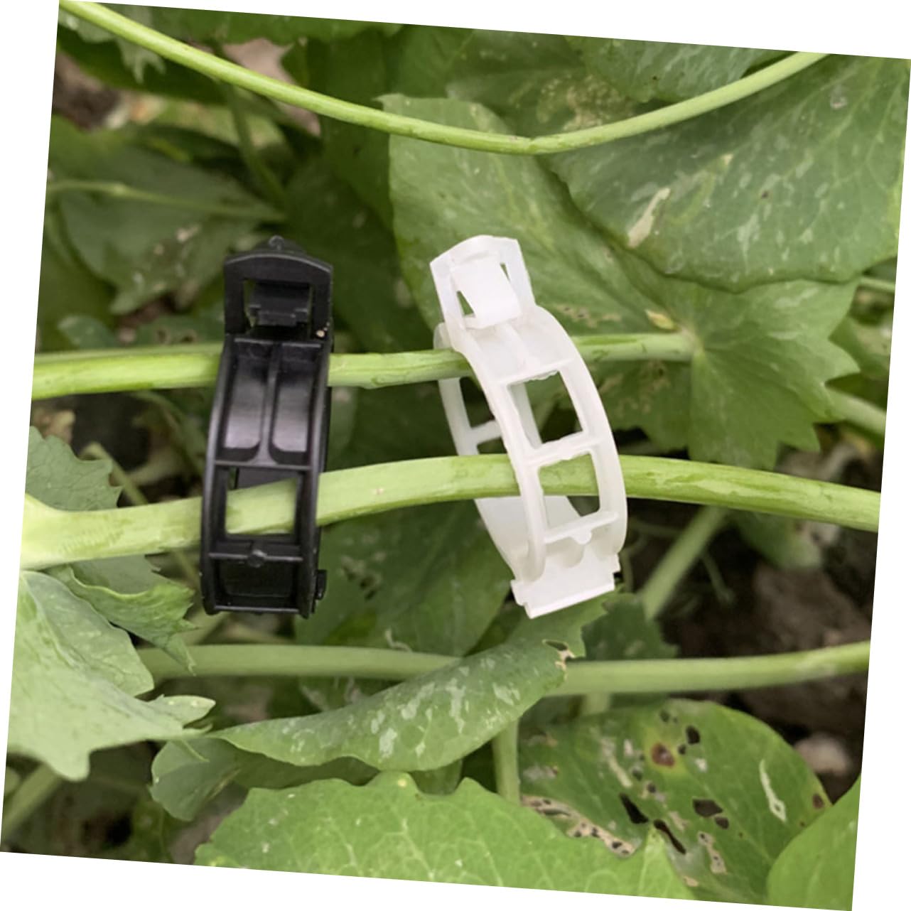 Hemobllo 400stücke Pflanzenclips Für Garten Verstellbare Klammern Unterstützung Von Tomaten Orchideen Und Kletterpflanzen Langlebige Pflanzenhalter Material Für Und Blumen