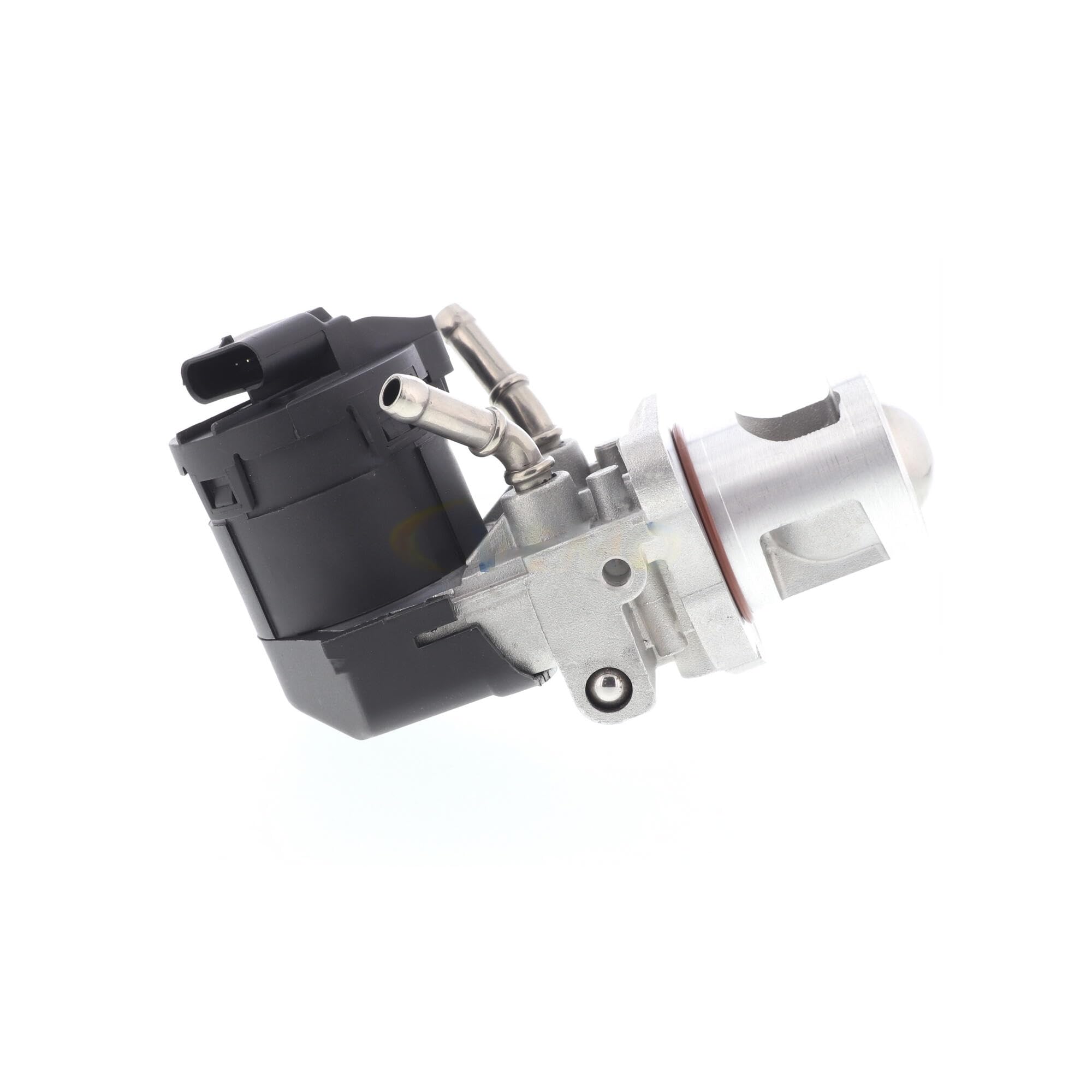 VEMO V20-63-0012 Valvola ricircolo gas scarico-EGR | Compatibile con: BMW 1, 1, 1, 1, 1 Cabriolet, 1 Coupe, 2 Coupe, 3, 3, 3 Cabriolet, 3 Coupe, 3 Gran Turismo, 3 Touring