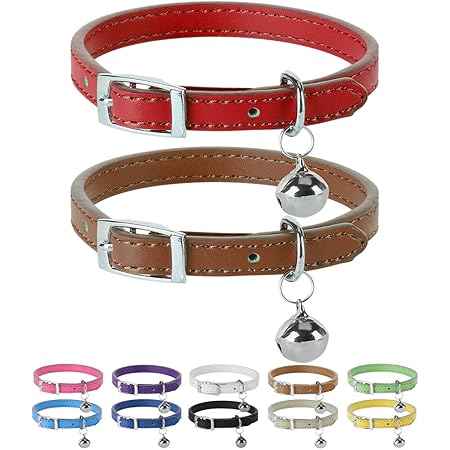 leather cat collar amazon