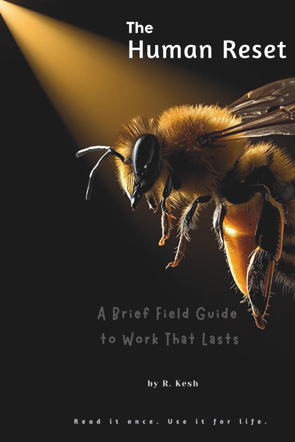 The Human Reset: A Brief Field Guide to Work That Lasts