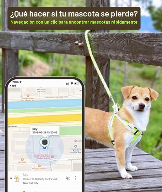 Foto 6 de 8 de Akin Rastreador de perro GPS, navegación con un clic, zumbador y banda reflectante, impermeable IP65
