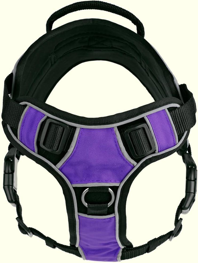 Dogline Quest No-Pull Dog Harness with Do Not Pet Reflective Removable Patches Reflective Soft Comfortable Dog Vest with Quick Release Dual Buckles Black Hardware and Handle 15 to 18 inches Purple